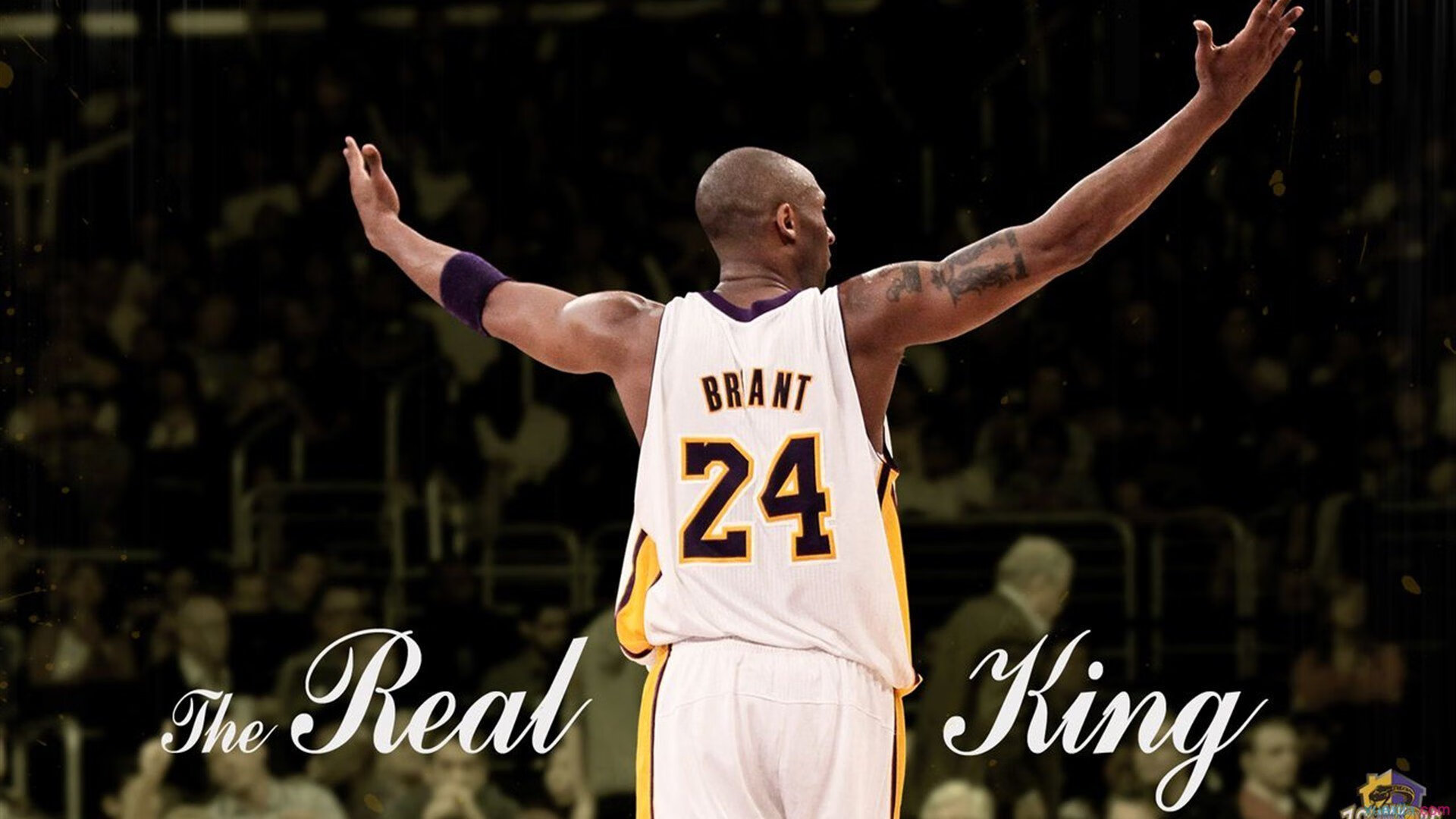 多平台同步直播：实现零距离感受比赛魅力，同步直播今年